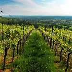 Weinmotel Simon 1 A Alzenau in Unterfranken