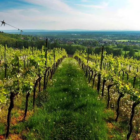 Weinmotel Simon 1 A Alzenau in Unterfranken